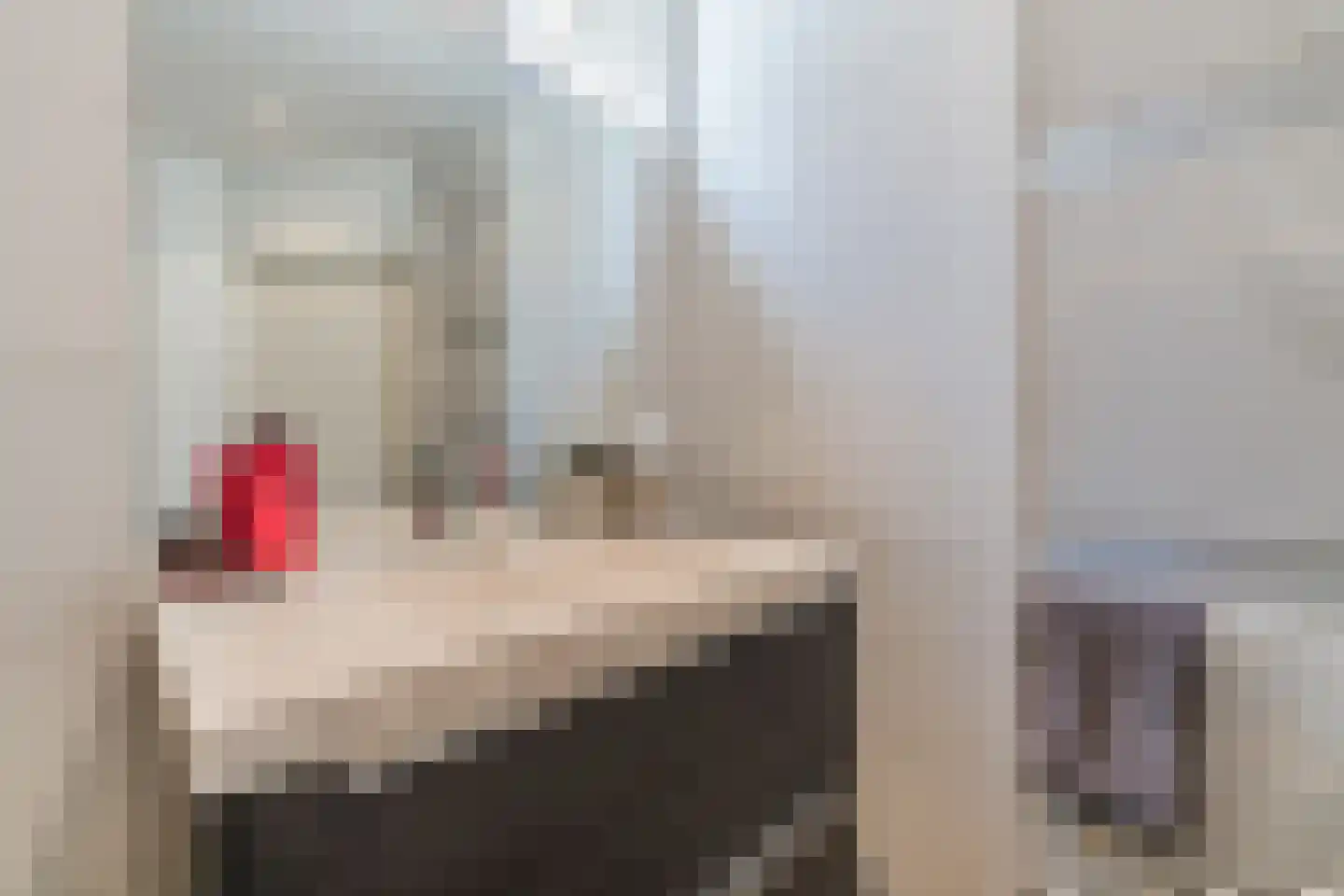 Hoge Ham 38 Dongen thumbnail 27