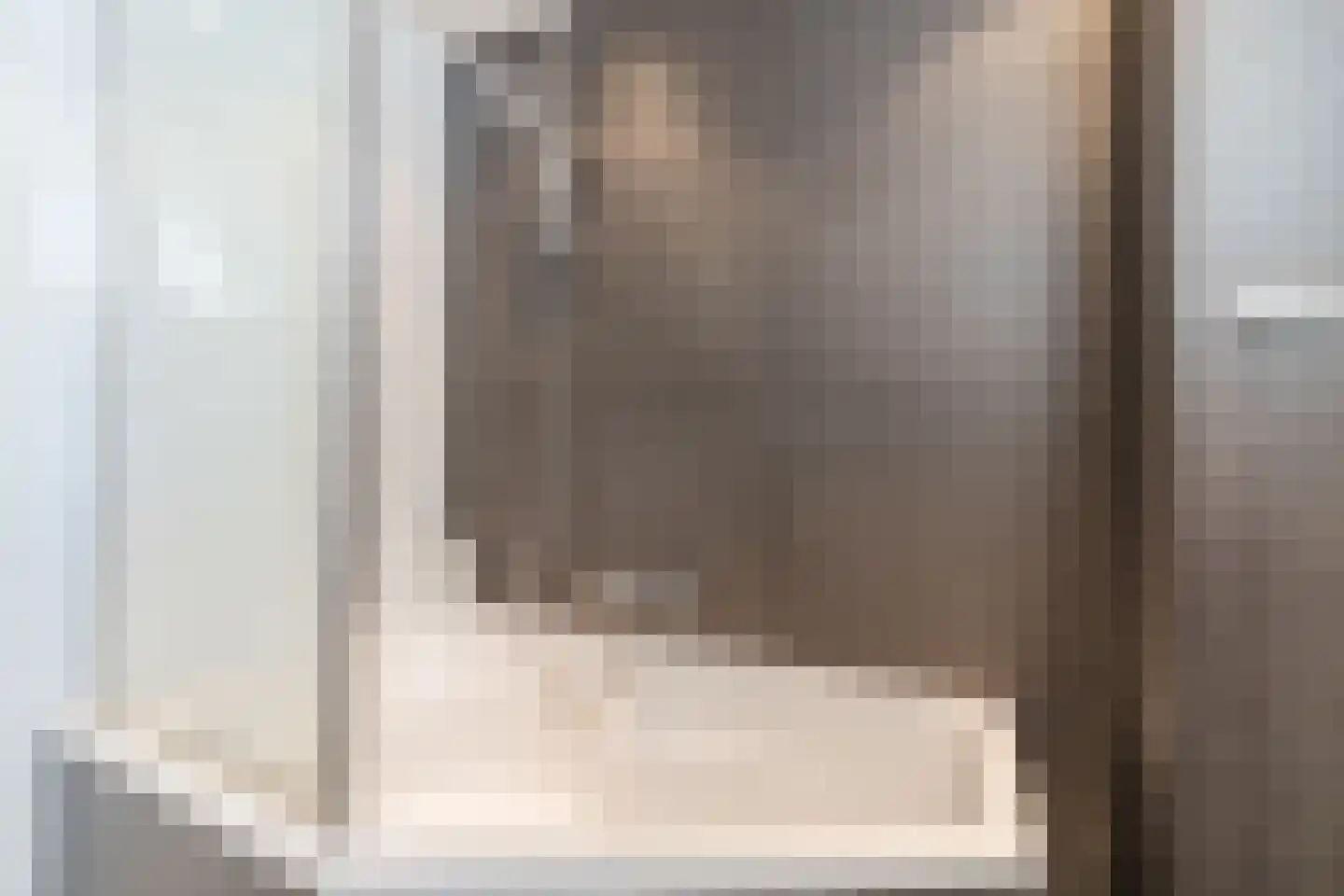 Hoge Ham 38 Dongen thumbnail 28