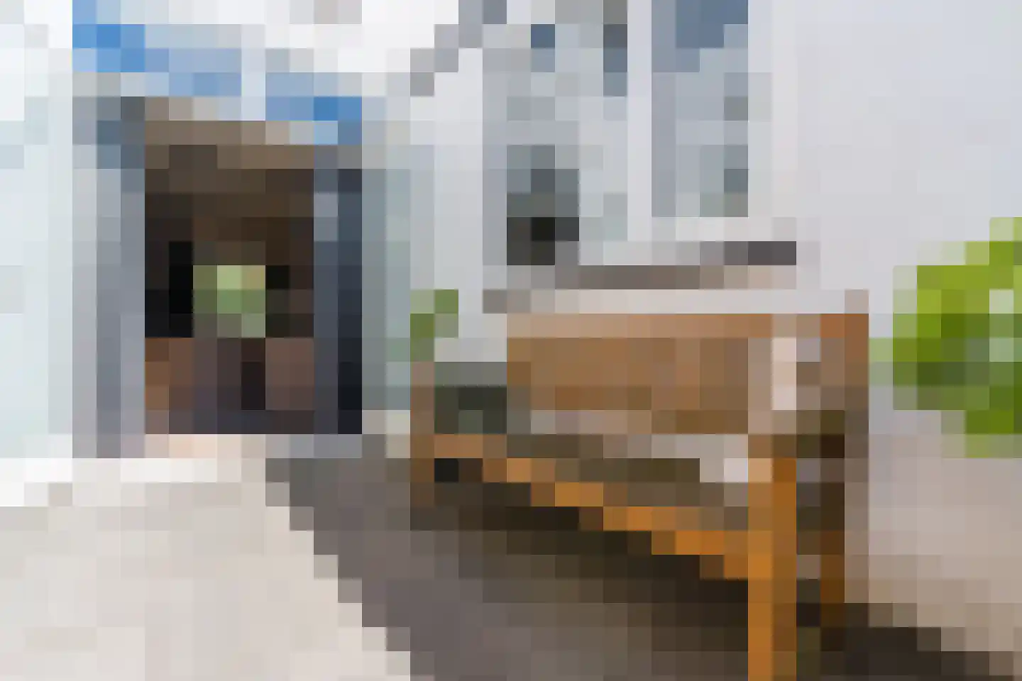 Hoge Ham 38 Dongen thumbnail 30