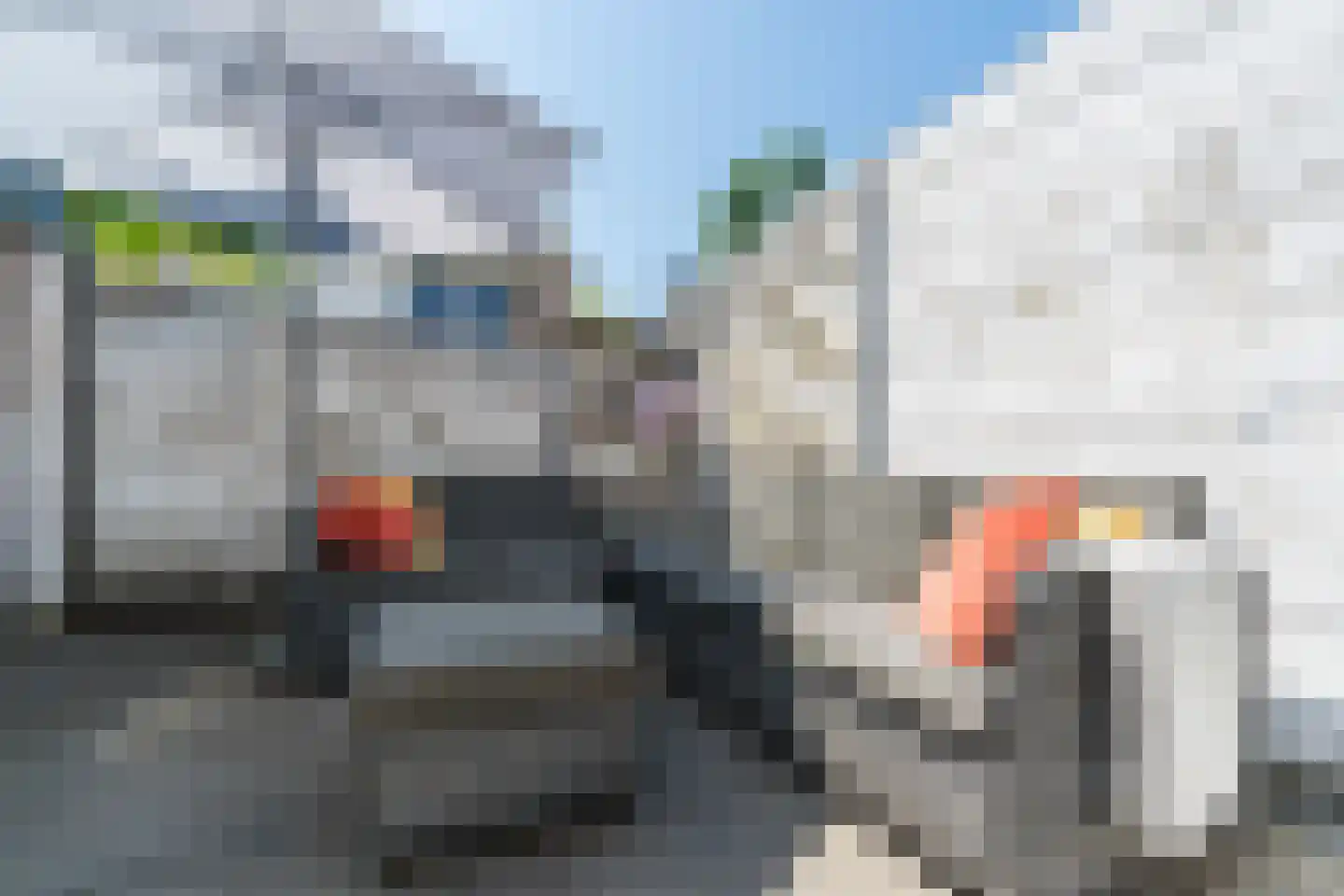 Hoge Ham 38 Dongen thumbnail 31