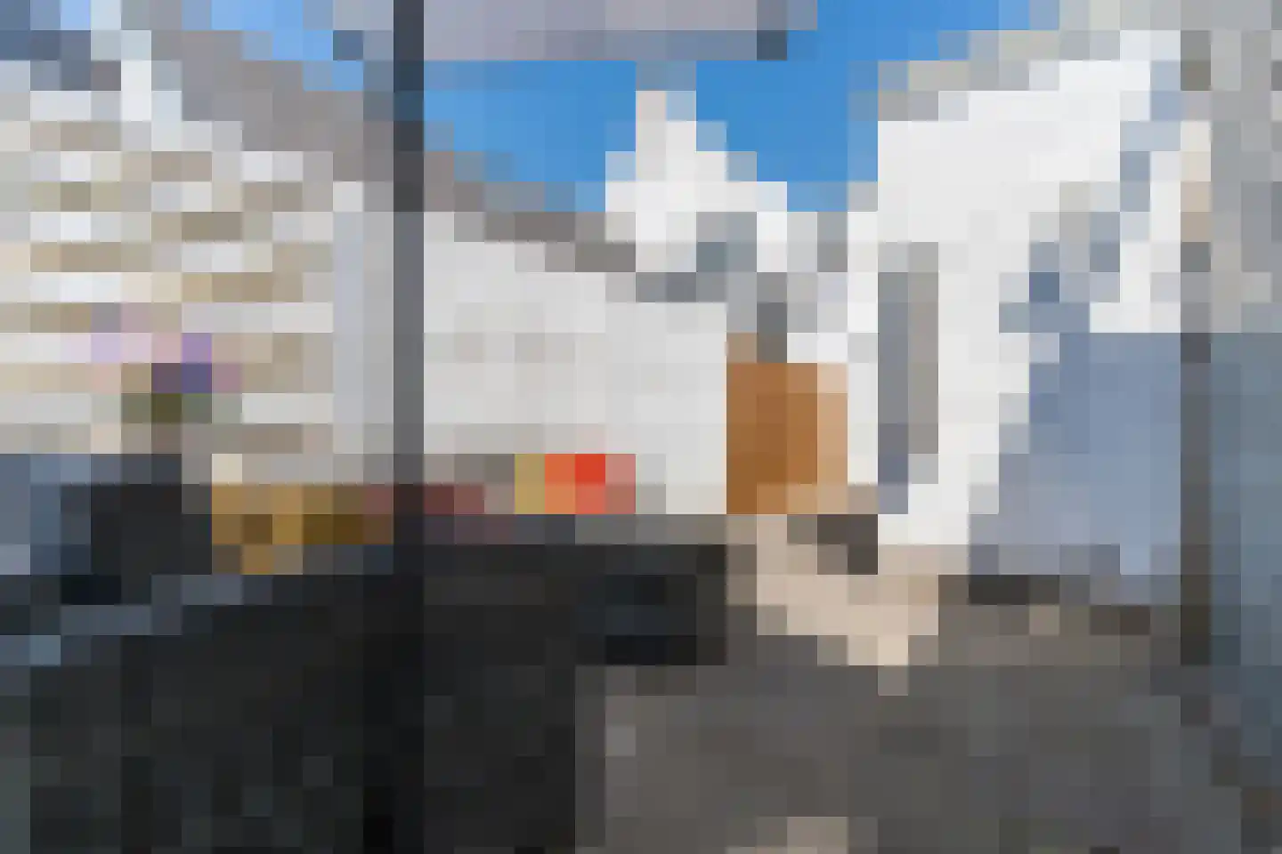 Hoge Ham 38 Dongen thumbnail 33