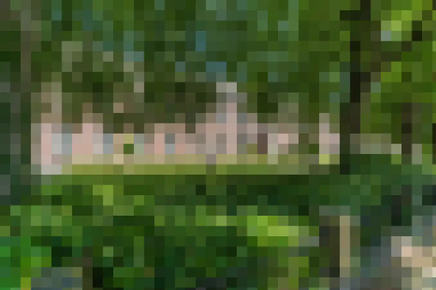 Hoge Ham 38 Dongen thumbnail 50