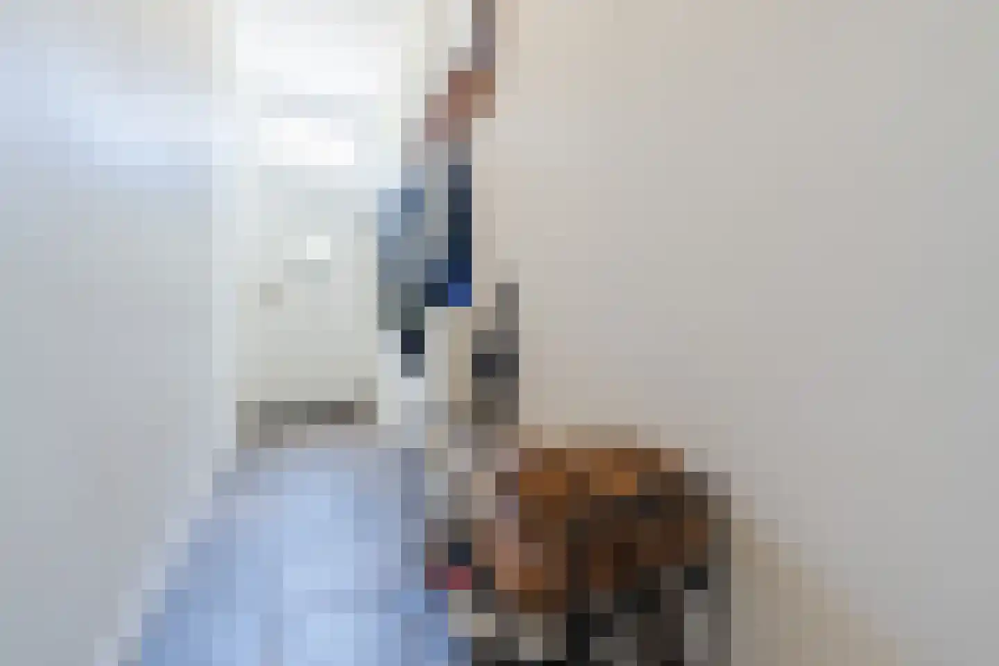 Hoge Ham 38 Dongen thumbnail 6