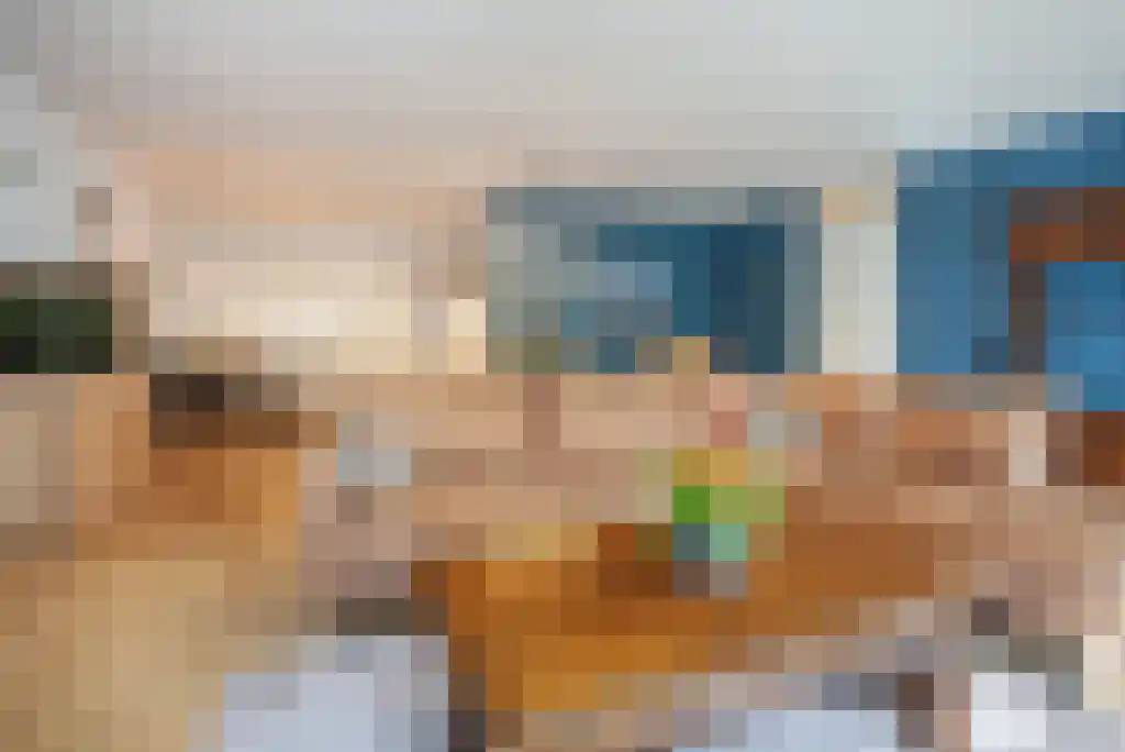 Hoge Ham 44 Dongen thumbnail 14