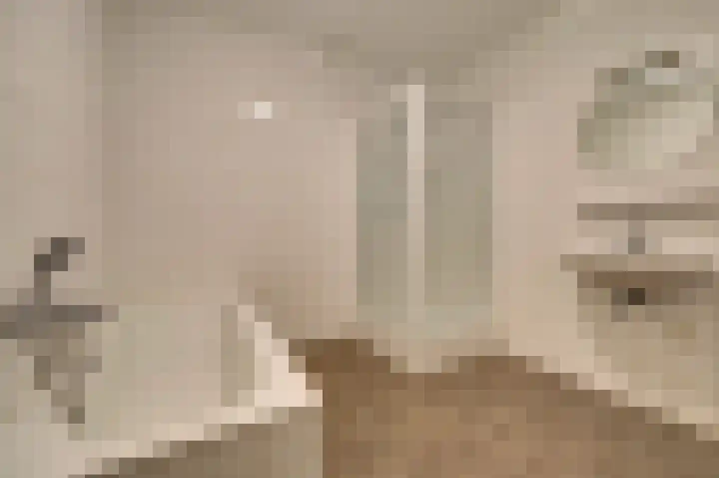 Hoge Ham 46 A Dongen thumbnail 22