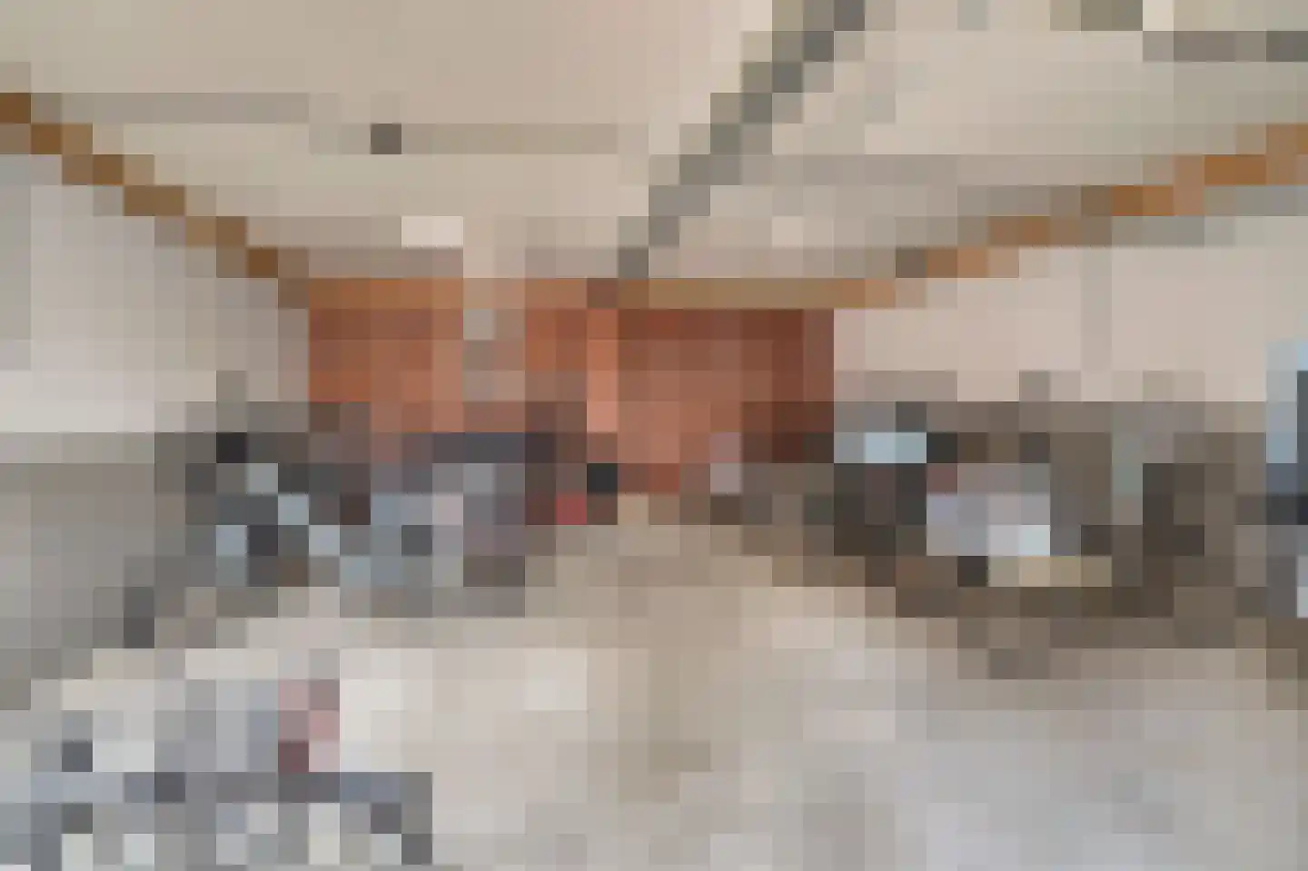 Hoge Ham 46 A Dongen thumbnail 25