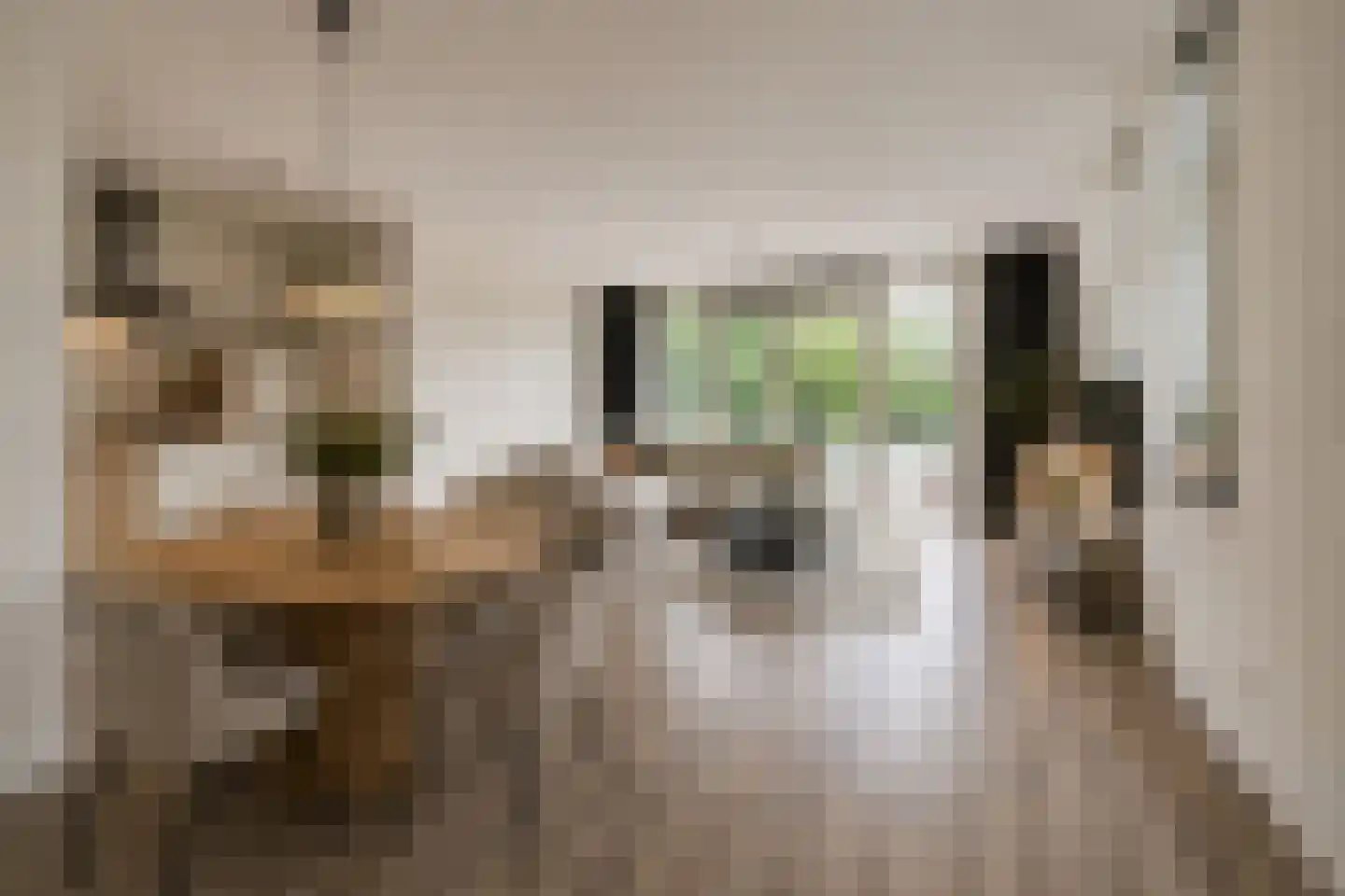 Hoge Ham 46 A Dongen thumbnail 6