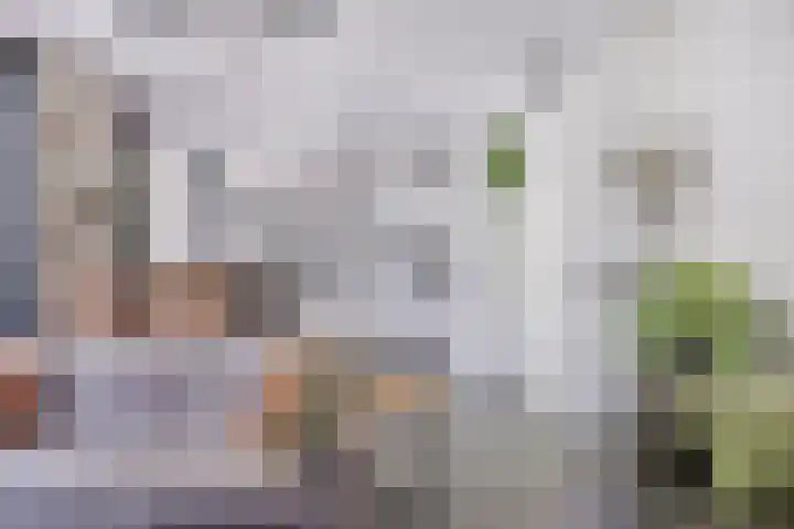 Hoge Ham 46 D Dongen thumbnail 13