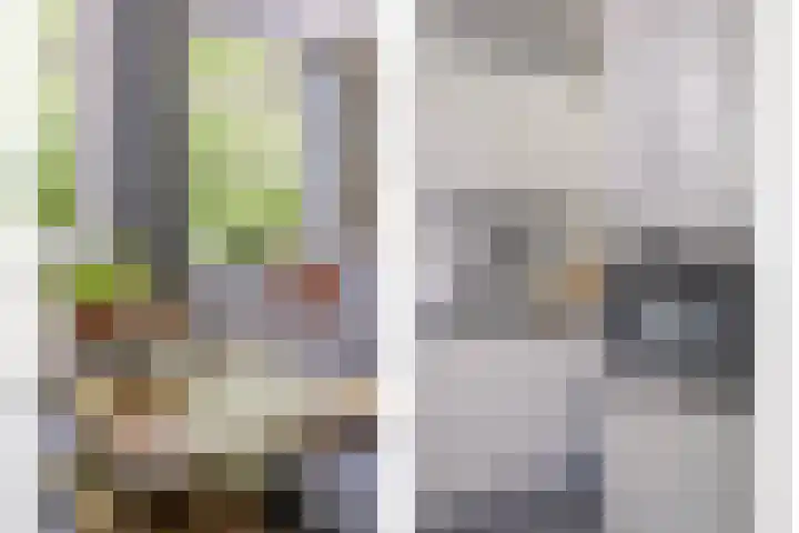 Hoge Ham 46 D Dongen thumbnail 14
