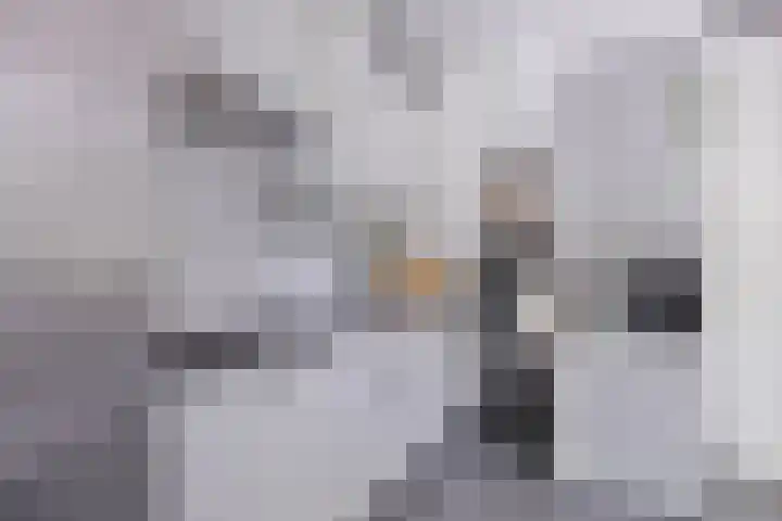 Hoge Ham 46 D Dongen thumbnail 15