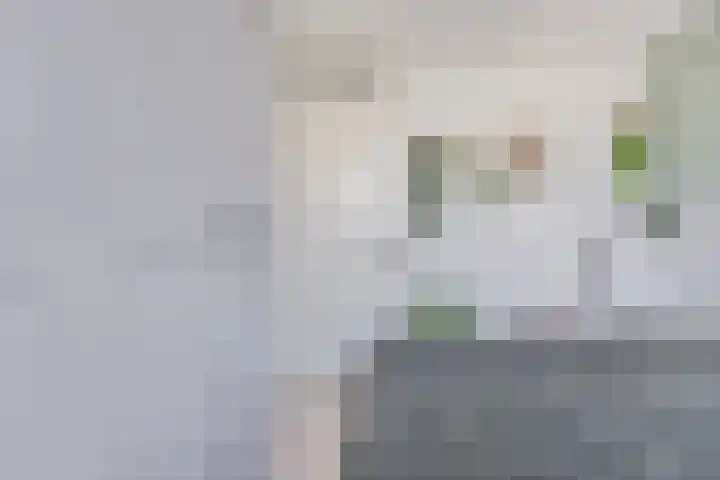 Hoge Ham 46 D Dongen thumbnail 17
