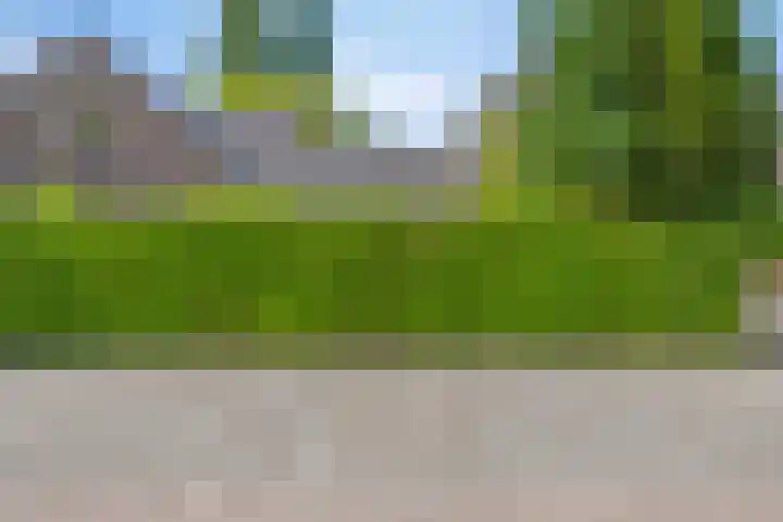 Hoge Ham 46 D Dongen thumbnail 20