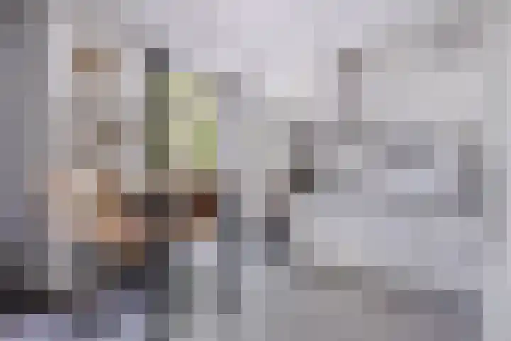 Hoge Ham 46 D Dongen foto 3