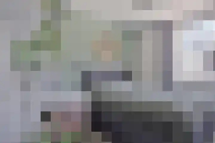 Hoge Ham 46 D Dongen thumbnail 4