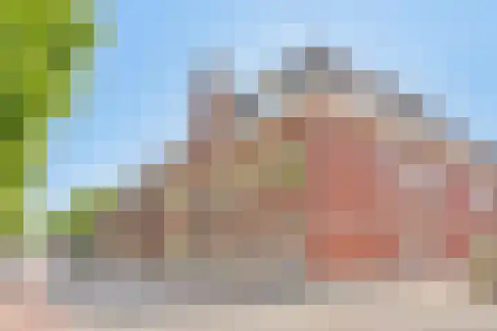 Hoge Ham 46 D Dongen thumbnail 7