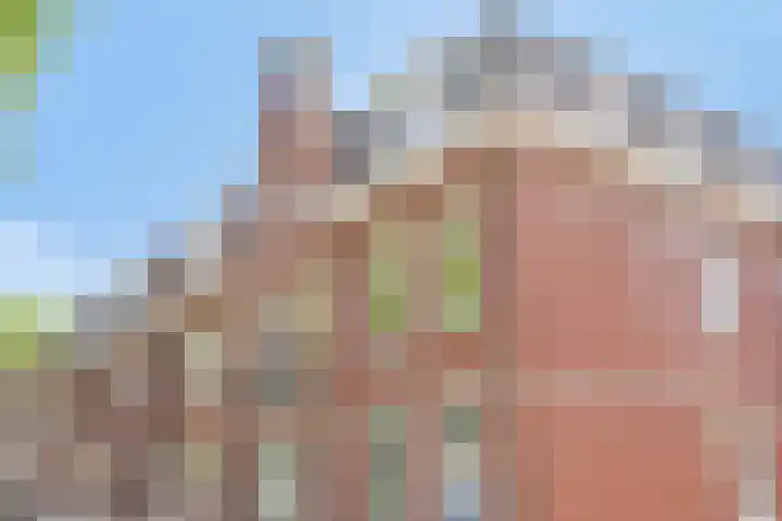Hoge Ham 46 D Dongen thumbnail 8
