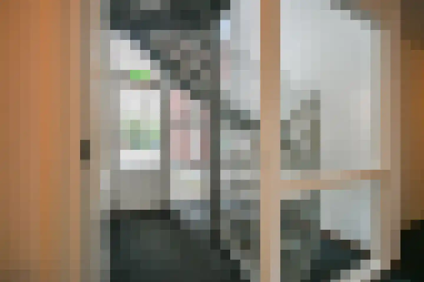 Hoge Ham 46 G Dongen thumbnail 8
