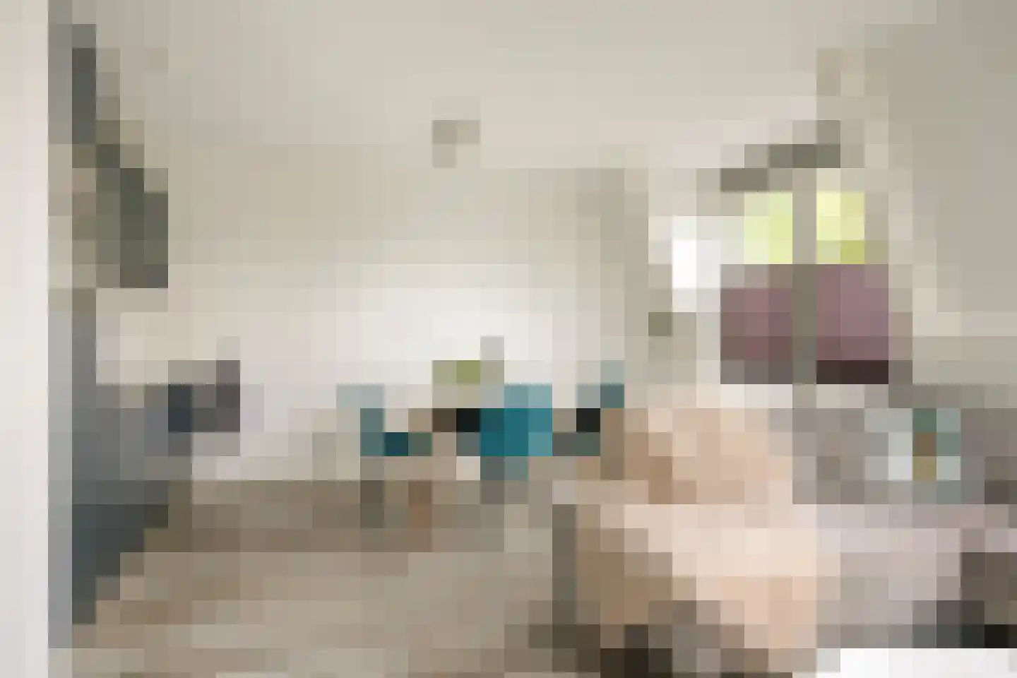 Hoge Ham 46 K Dongen thumbnail 18