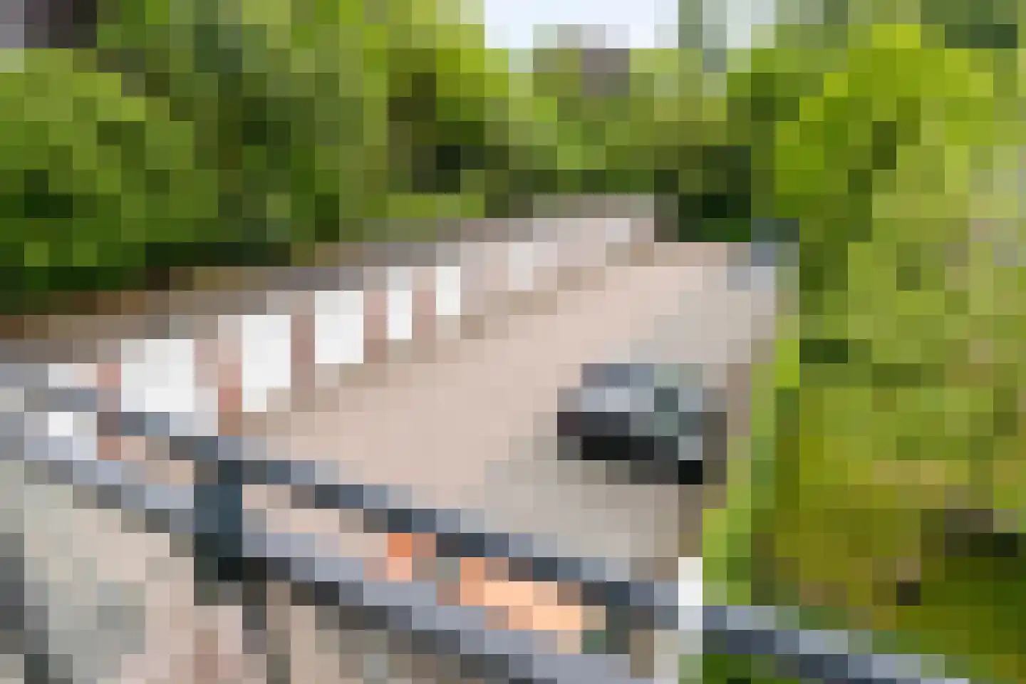 Hoge Ham 46 K Dongen thumbnail 29