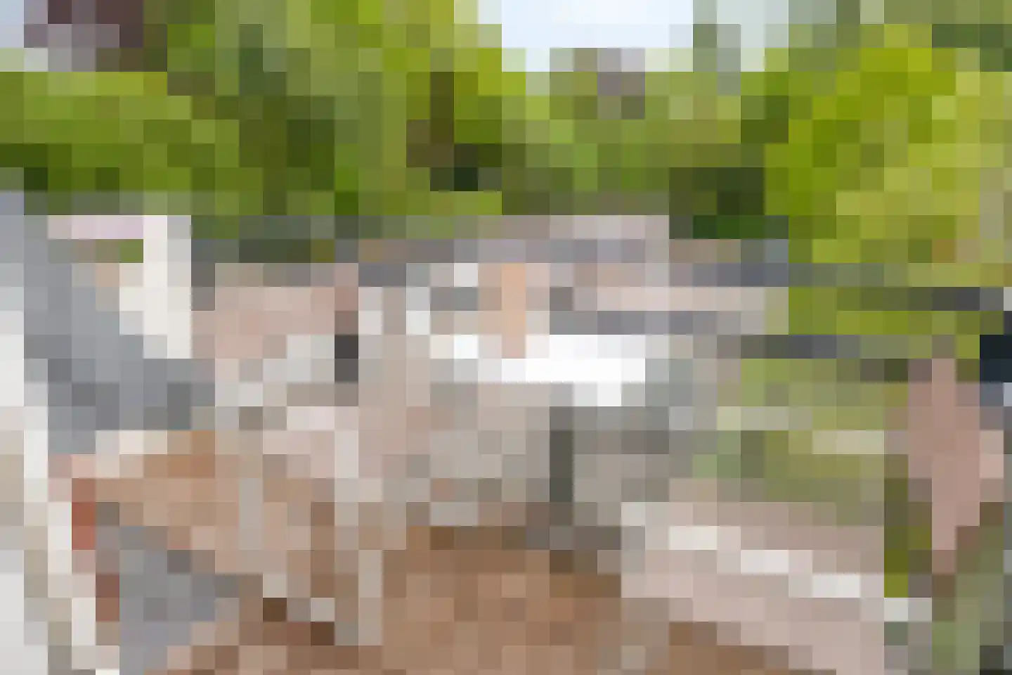 Hoge Ham 46 K Dongen thumbnail 6