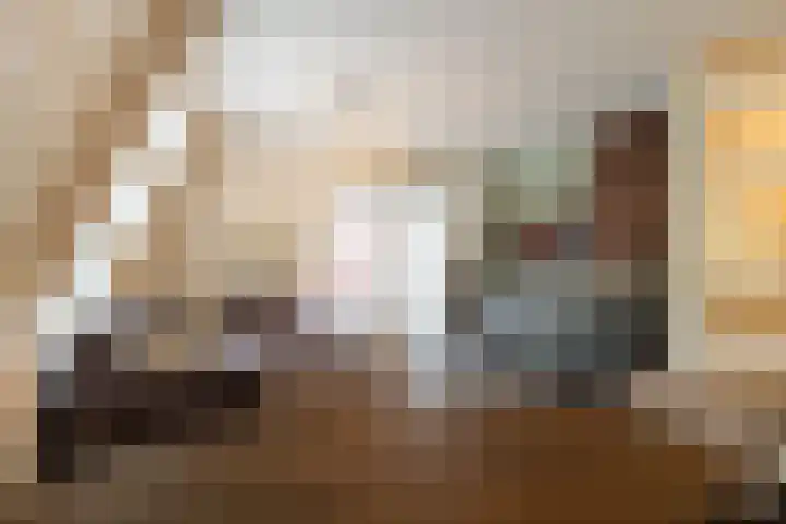 Hoge Ham 46 N Dongen thumbnail 11
