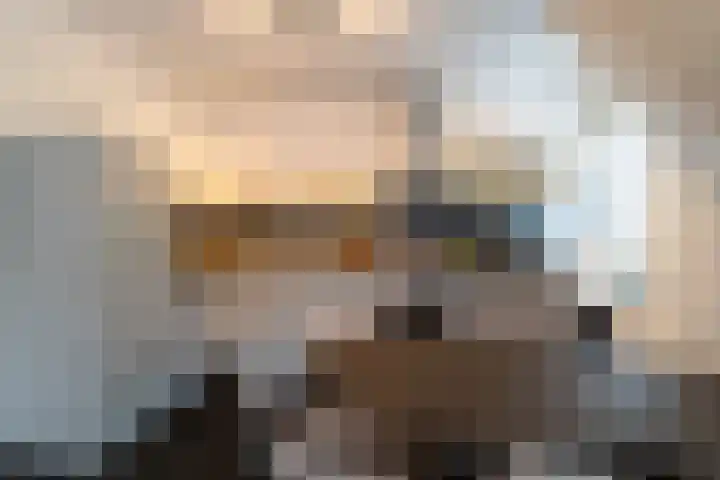 Hoge Ham 46 N Dongen thumbnail 12
