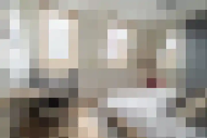 Hoge Ham 46 N Dongen thumbnail 14