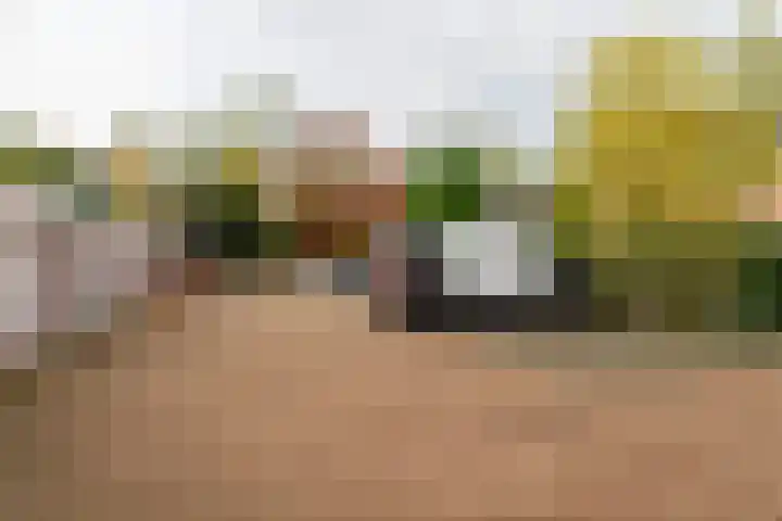 Hoge Ham 46 N Dongen thumbnail 17