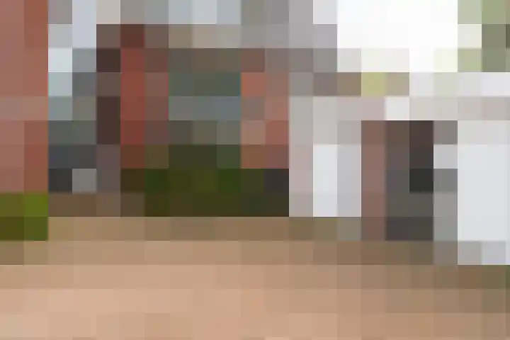 Hoge Ham 46 N Dongen thumbnail 18