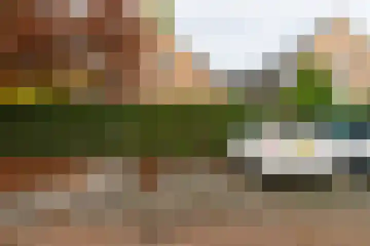 Hoge Ham 46 N Dongen thumbnail 19