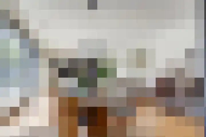 Hoge Ham 81 B Dongen thumbnail 12