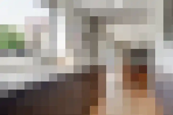 Hoge Ham 81 B Dongen thumbnail 15