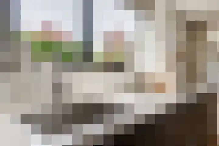 Hoge Ham 81 B Dongen thumbnail 17