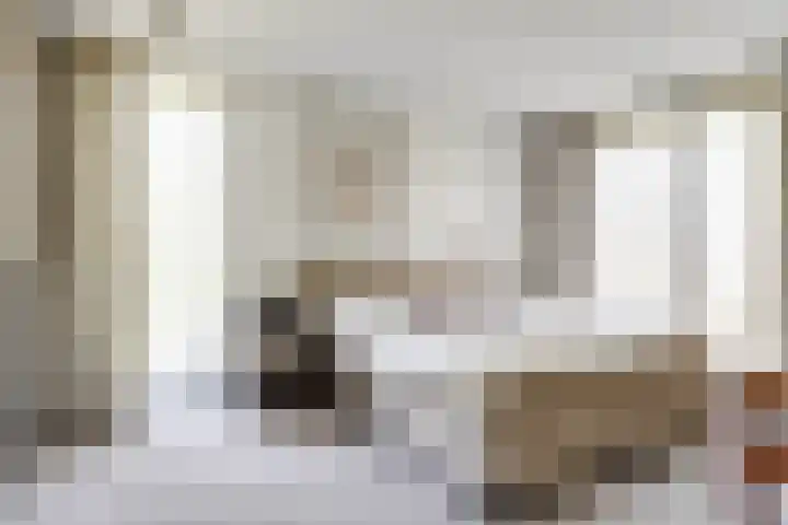 Hoge Ham 81 B Dongen thumbnail 19