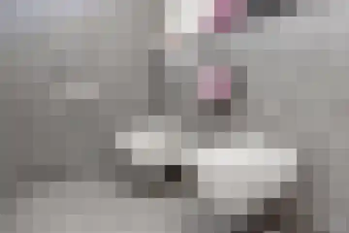 Hoge Ham 81 B Dongen thumbnail 23