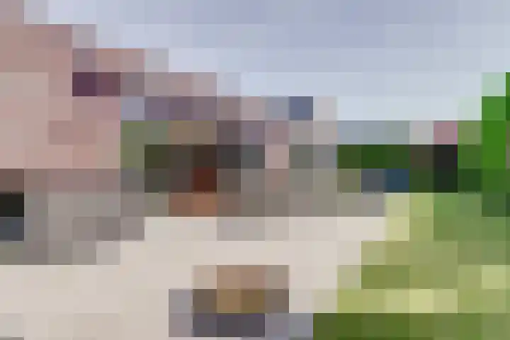 Hoge Ham 81 B Dongen thumbnail 28
