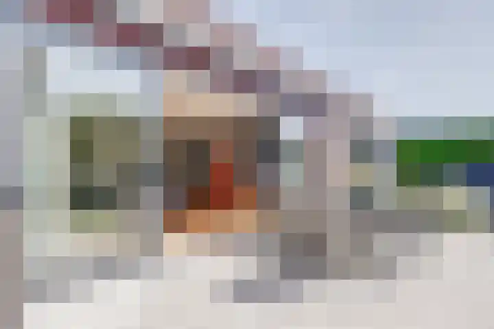 Hoge Ham 81 B Dongen thumbnail 29