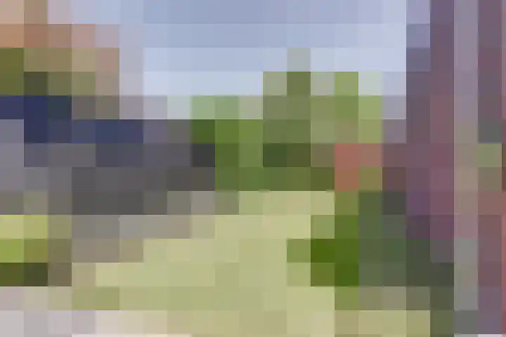 Hoge Ham 81 B Dongen thumbnail 30