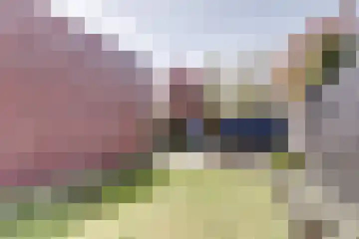 Hoge Ham 81 B Dongen thumbnail 32