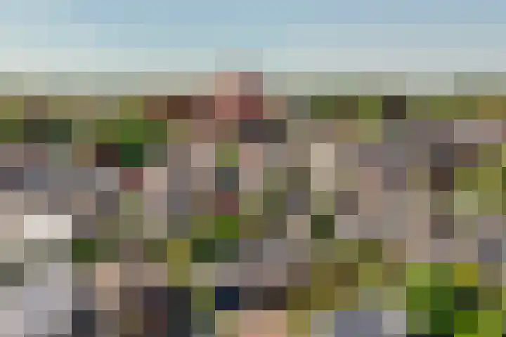 Hoge Ham 81 B Dongen thumbnail 34