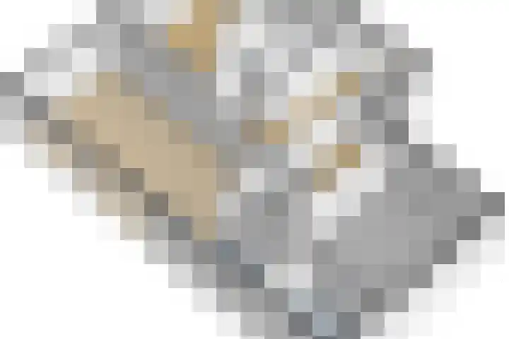 Hoge Ham 81 B Dongen thumbnail 35