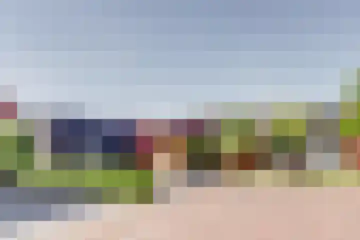 Hoge Ham 81 B Dongen thumbnail 4