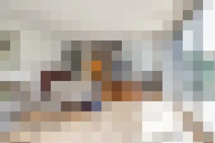 Hoge Ham 81 B Dongen thumbnail 8
