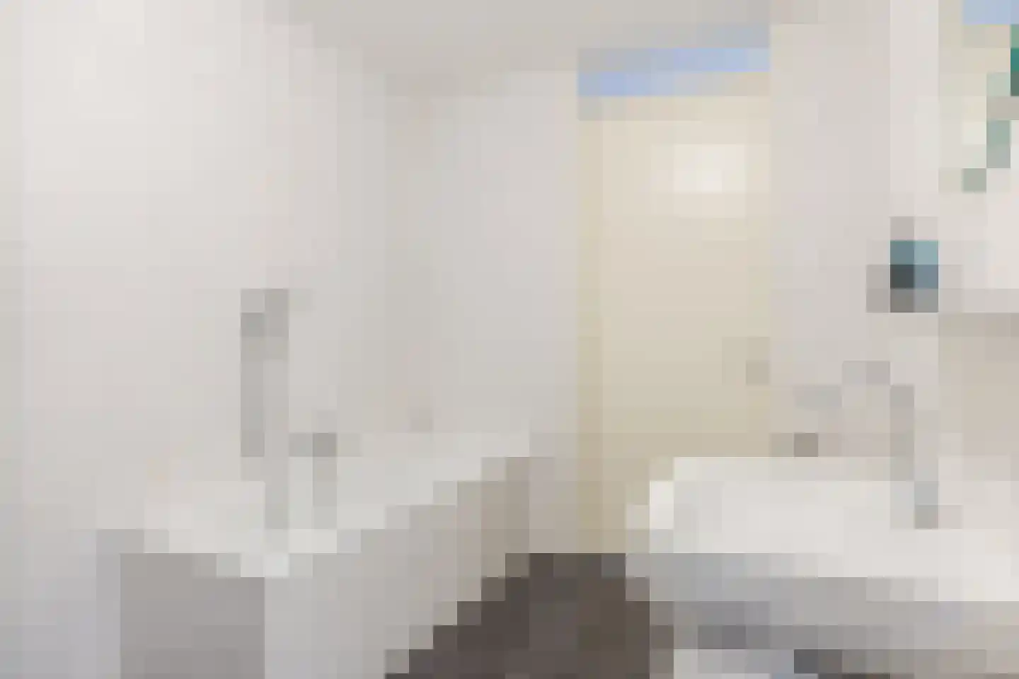 Hoge Ham 95 N Dongen thumbnail 27