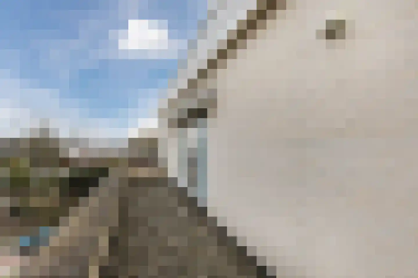 Hoge Ham 95 N Dongen thumbnail 30
