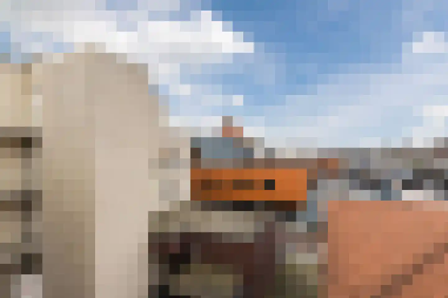 Hoge Ham 95 N Dongen thumbnail 36