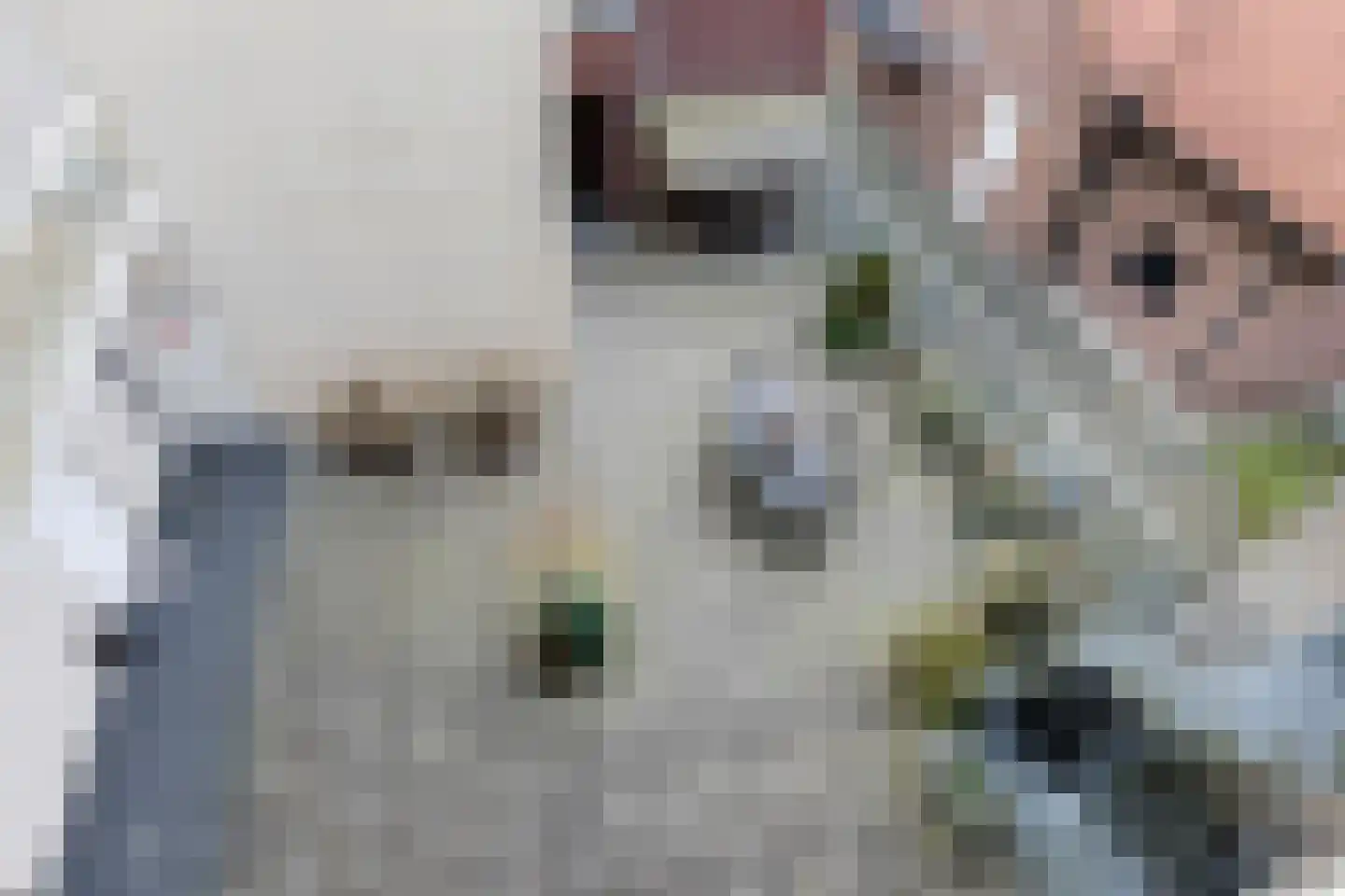 Hoge Ham 95 N Dongen thumbnail 38