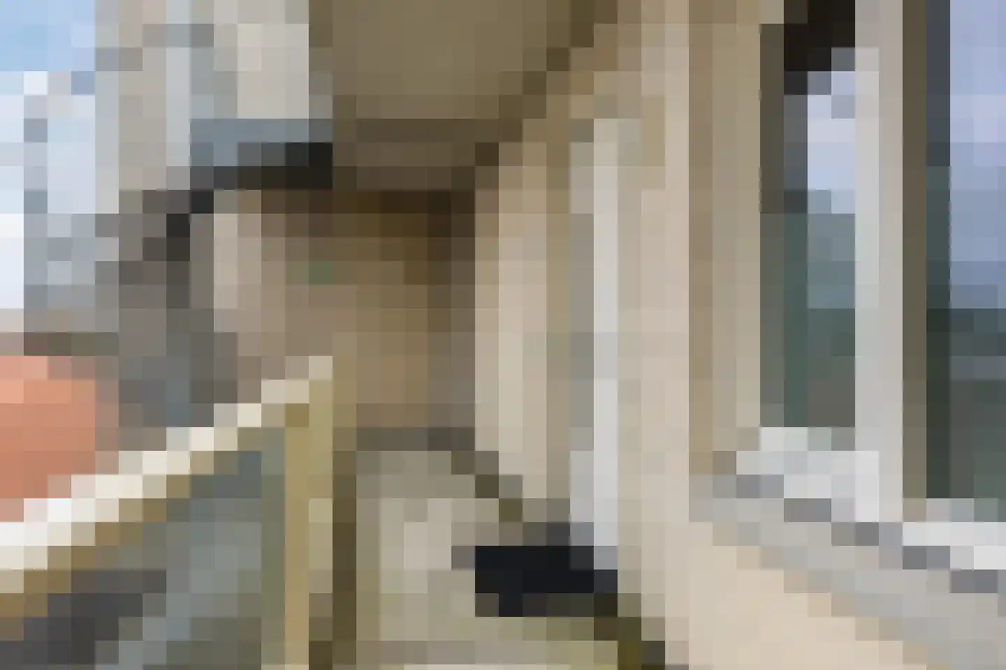 Hoge Ham 95 N Dongen thumbnail 9