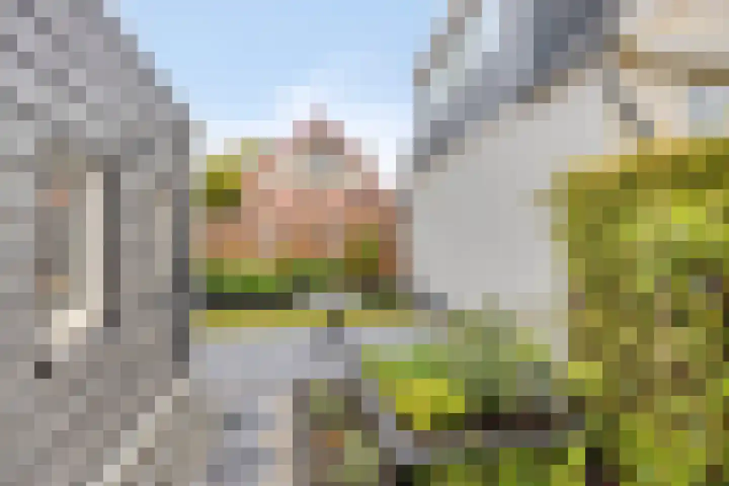 Hoge Hazel 3 Winterswijk thumbnail 30