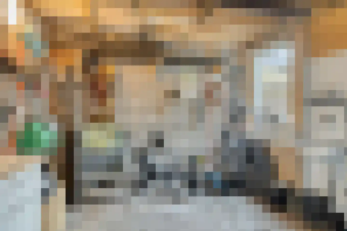 Hoge Hazel 3 Winterswijk thumbnail 32